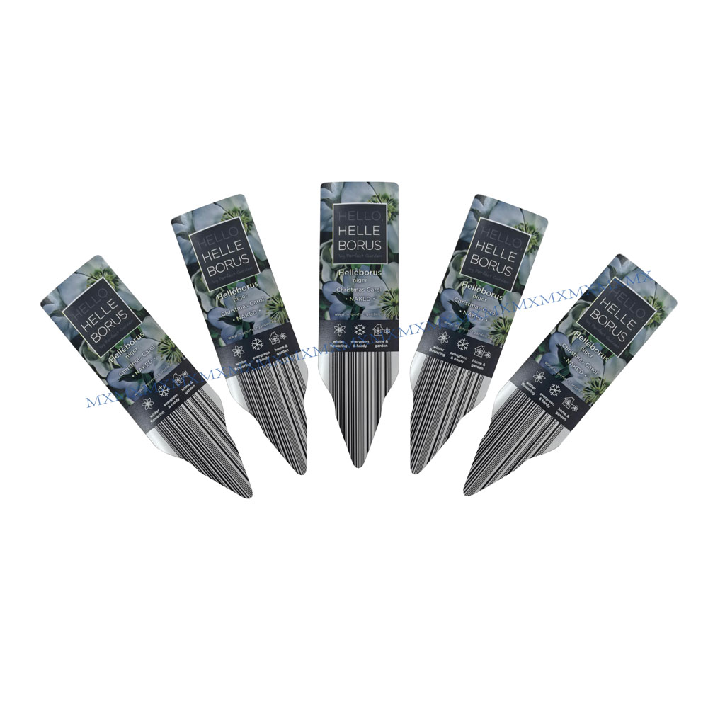 Potted plant card insertion