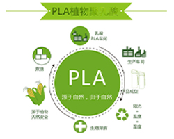 What is biodegradable plastic bag?